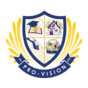 Pro-Vision Inc