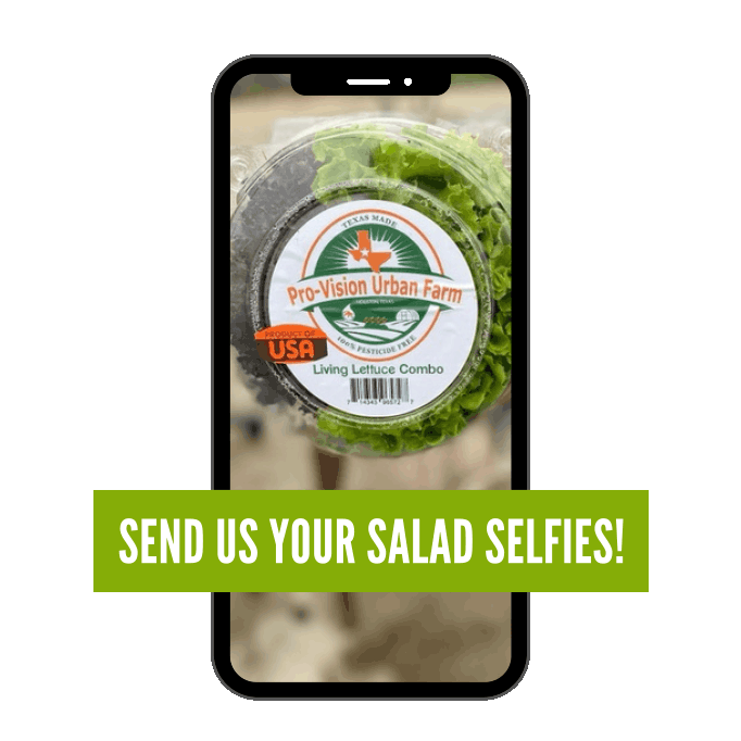 Send us your salad selfies